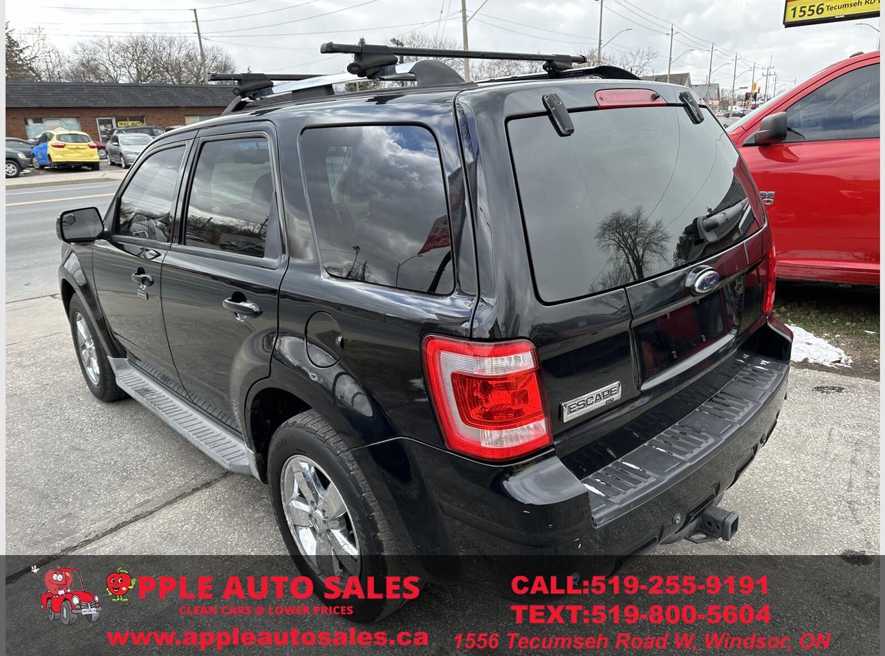 2010 Ford Escape Limited Photo