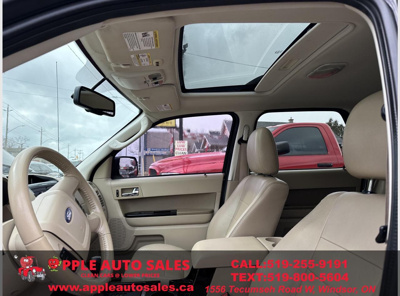 2010 Ford Escape Limited Photo