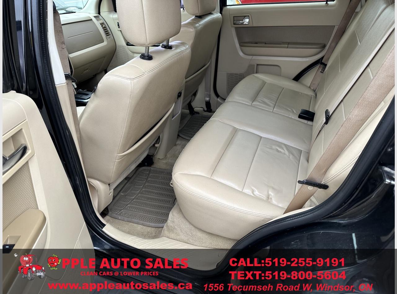 2010 Ford Escape Limited Photo