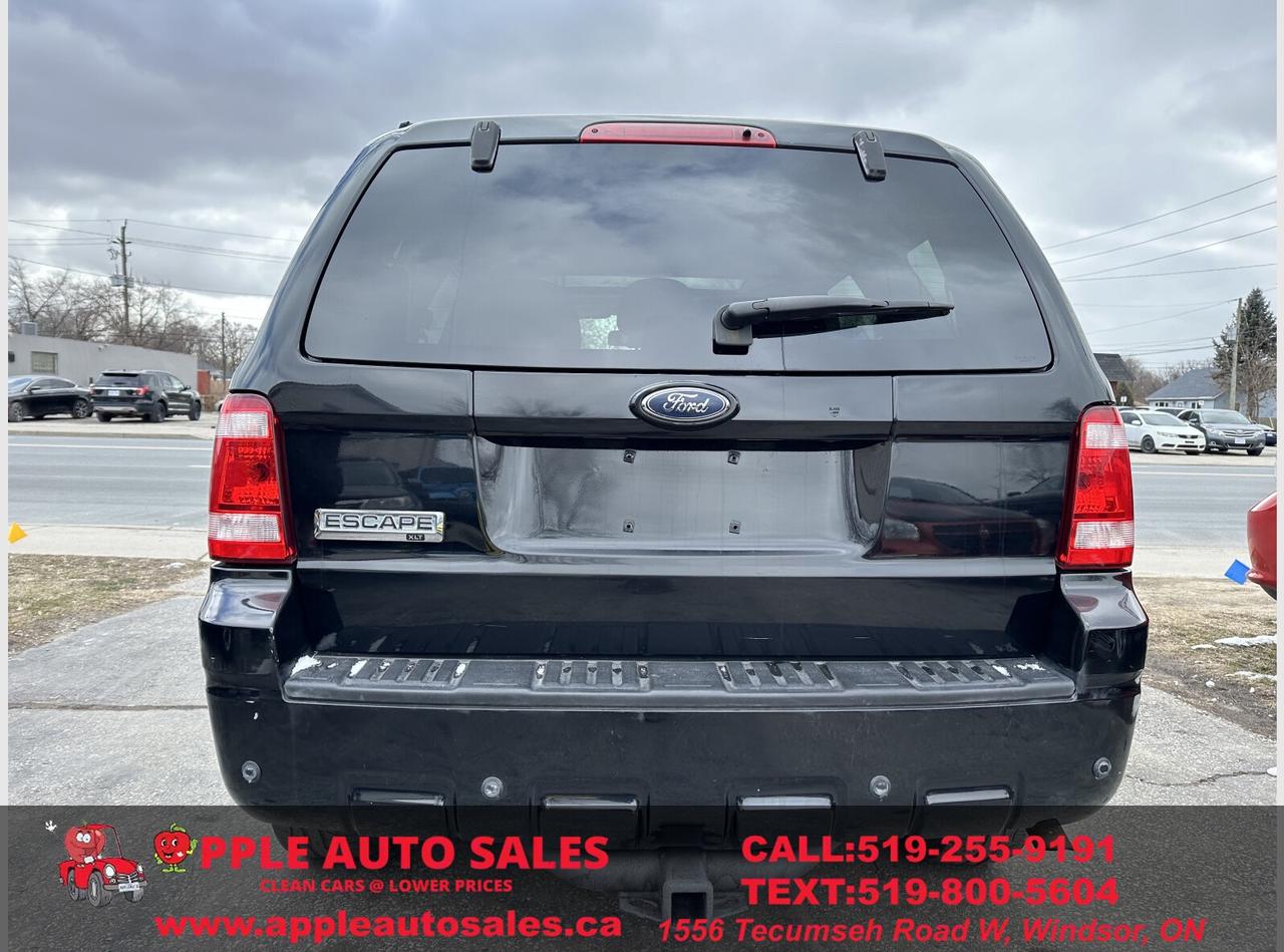 2010 Ford Escape Limited Photo