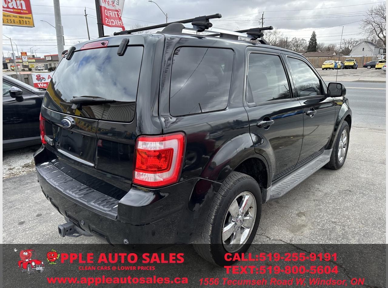 2010 Ford Escape Limited Photo3