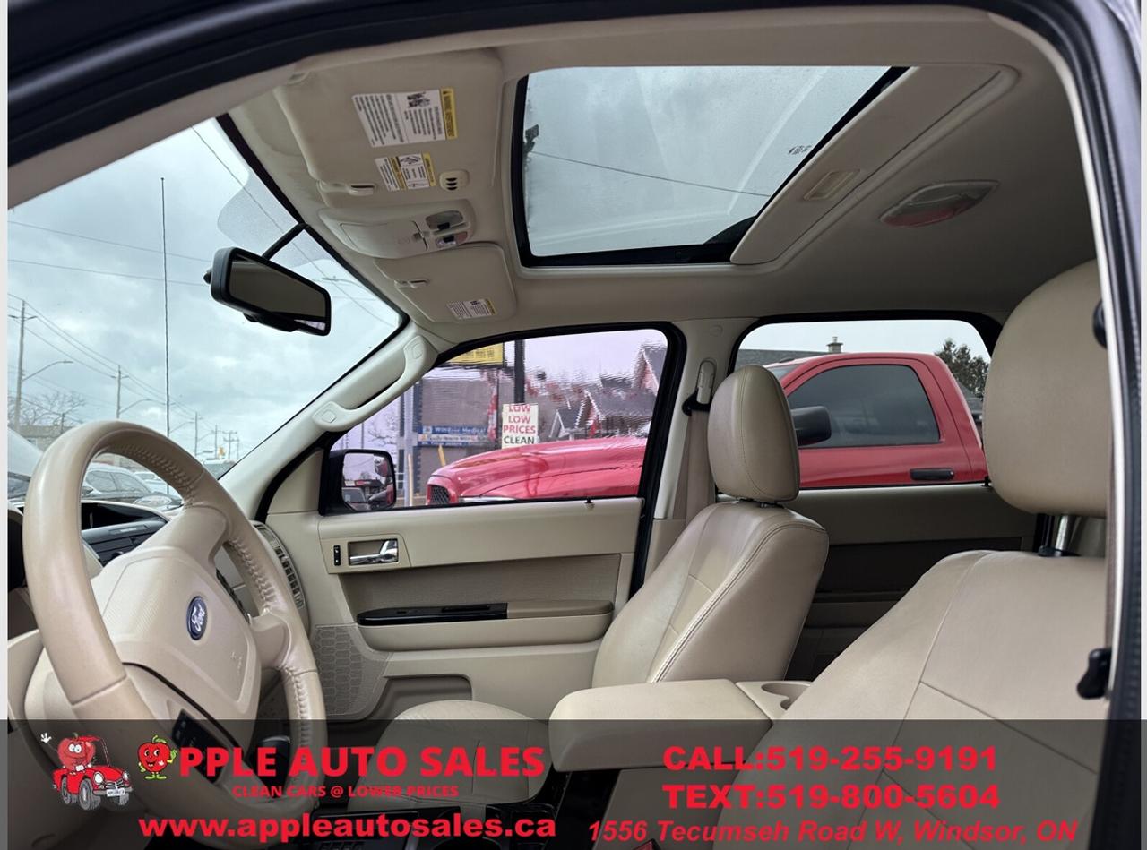 2010 Ford Escape Limited Photo