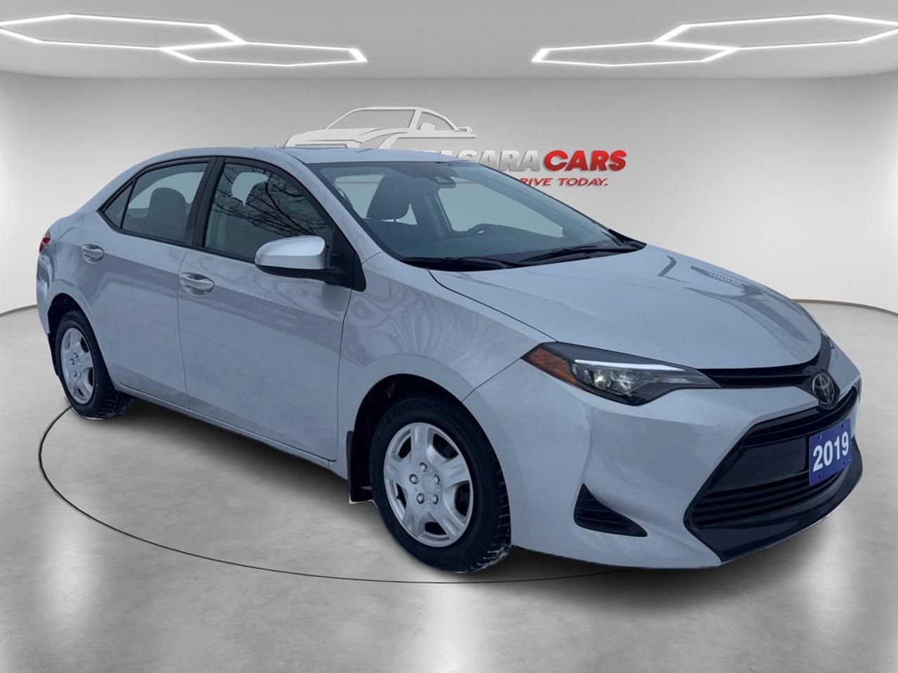 2019 Toyota Corolla LE Photo