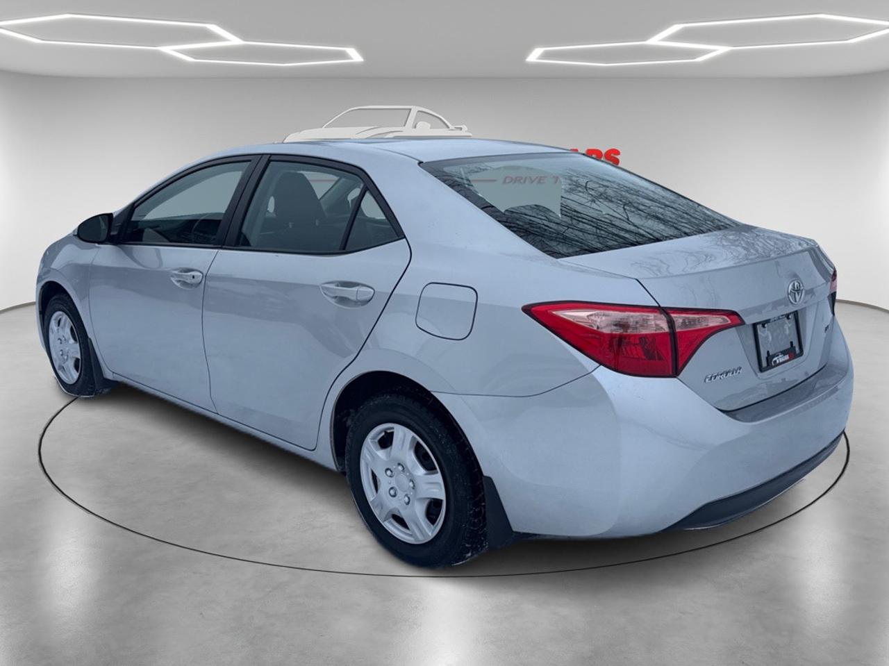 2019 Toyota Corolla LE Photo