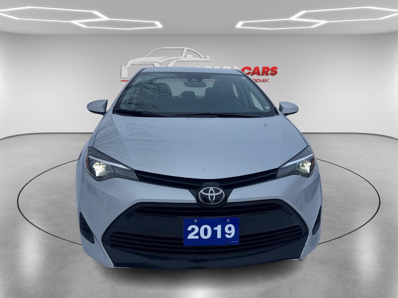 2019 Toyota Corolla LE Photo