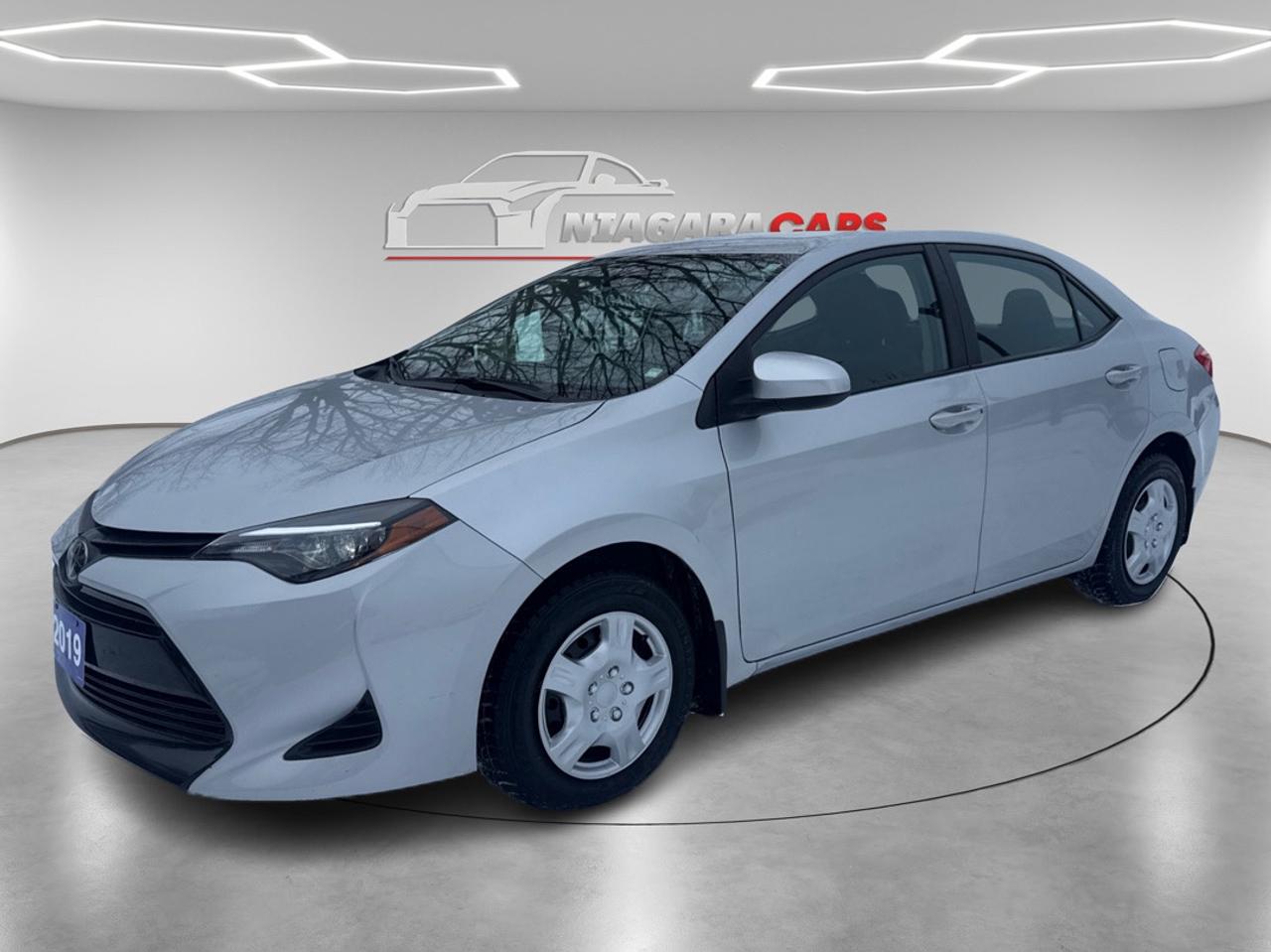 2019 Toyota Corolla LE Photo