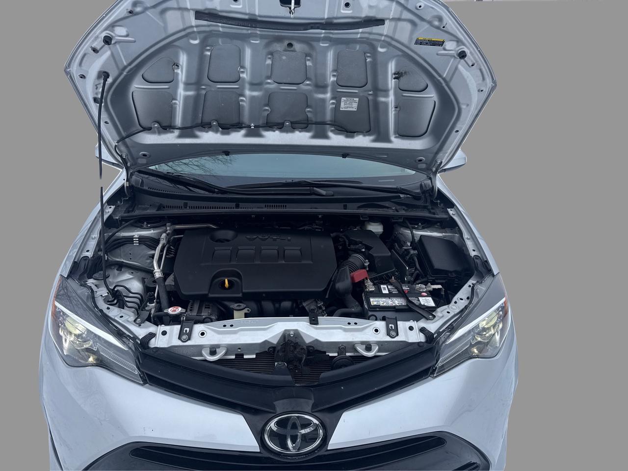 2019 Toyota Corolla LE Photo