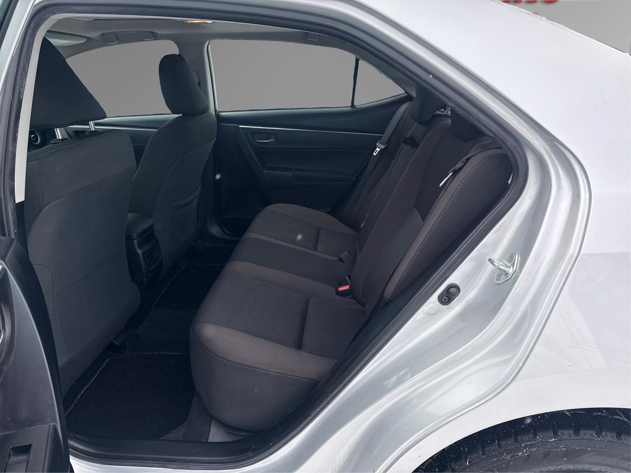 2019 Toyota Corolla LE Photo