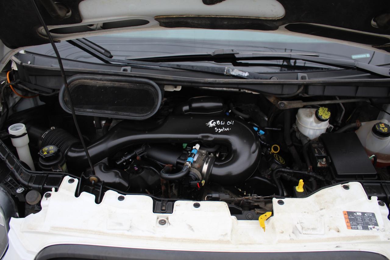 2017 Ford Transit T250 T-250 LR RWD 130" Divider/Shelving, Ladder R Photo