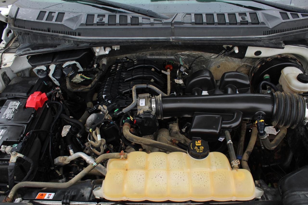 2018 Ford F-150 XL 8ft Rear Diff Locking Back Up Cam Photo