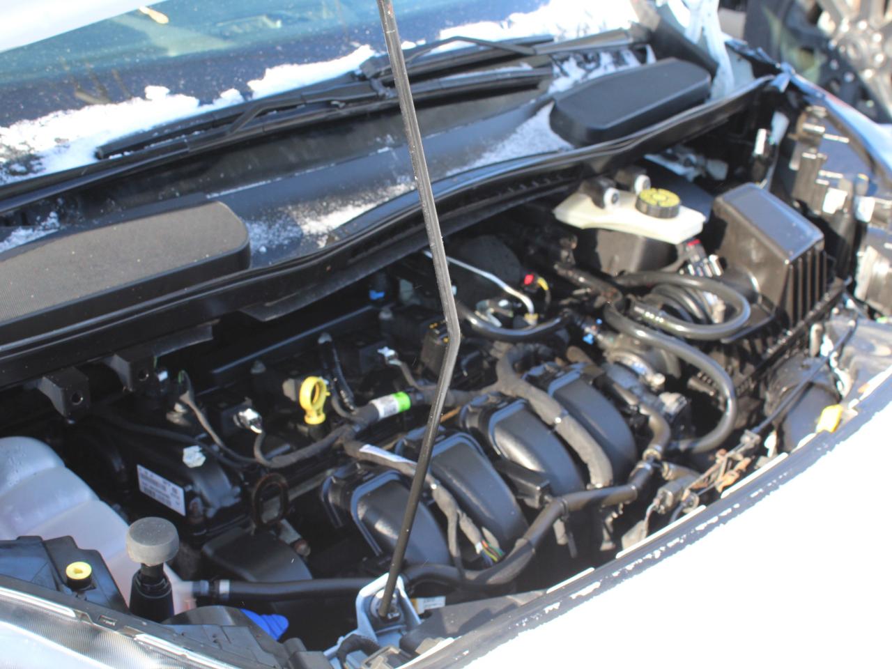 2020 Ford Transit Connect XLT B. Cam Divider Shelving Photo