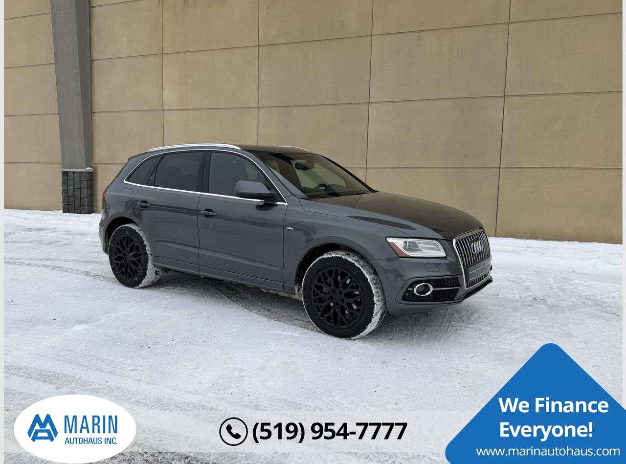 2014 Audi Q5 TDI Photo