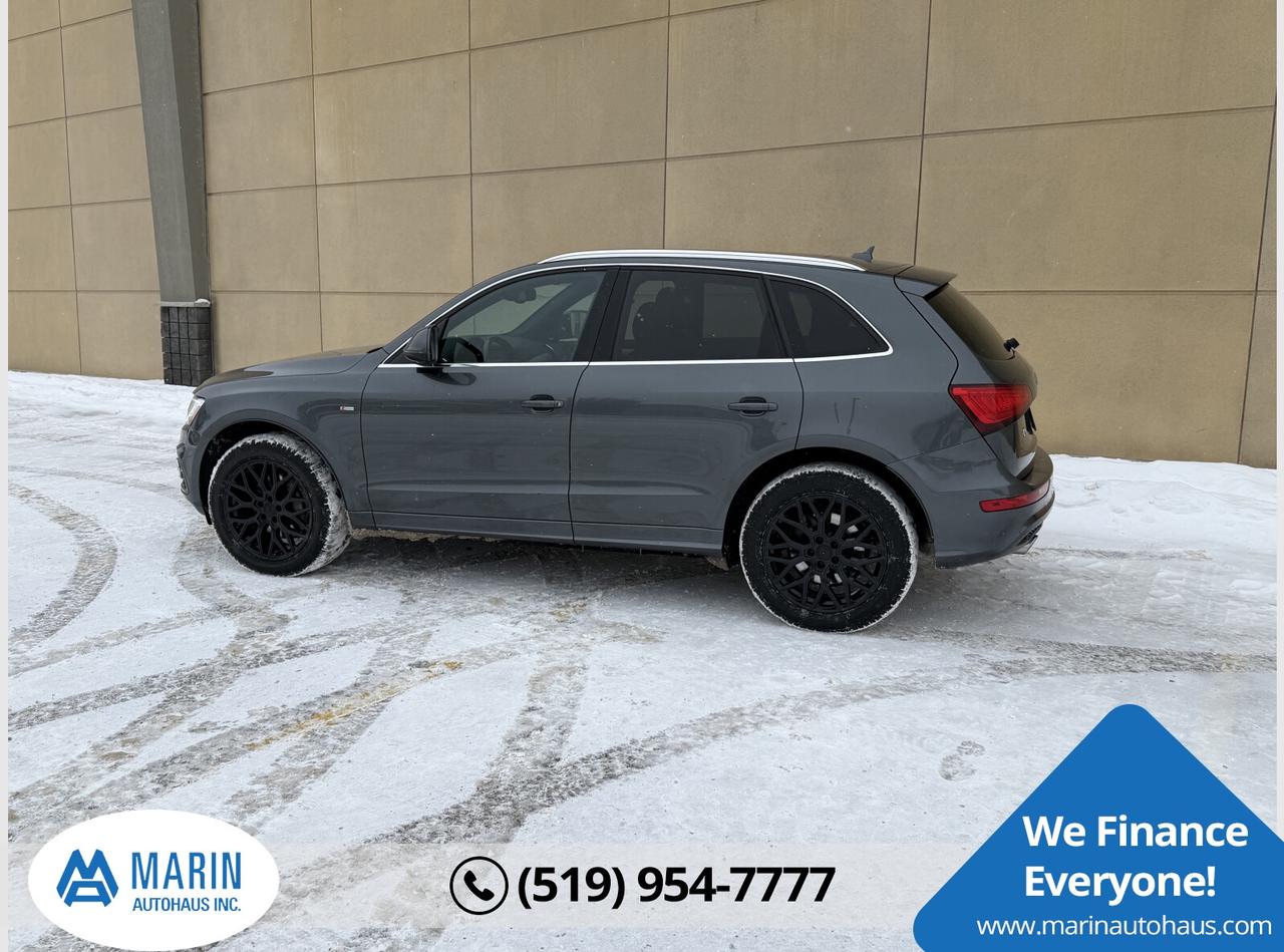 2014 Audi Q5 TDI Photo3