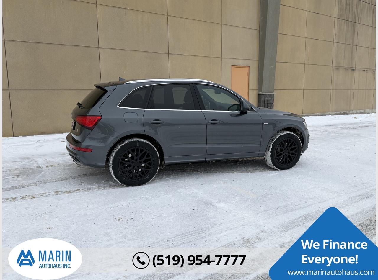 2014 Audi Q5 TDI Photo