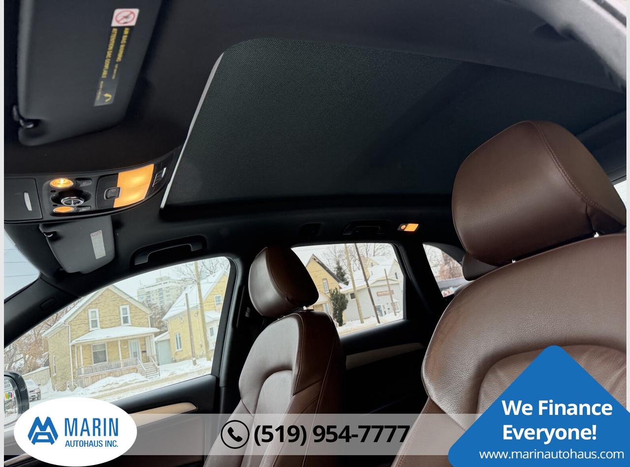 2014 Audi Q5 TDI Photo