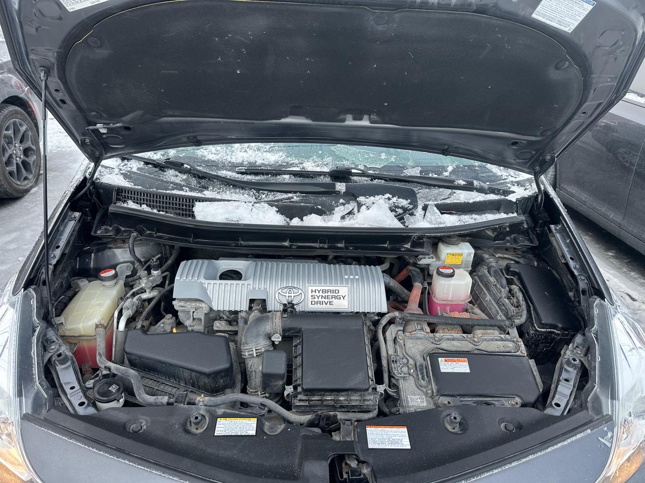 2016 Toyota Prius v Five Photo