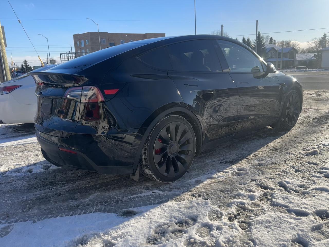 2023 Tesla Model Y PERFORMANCE Photo