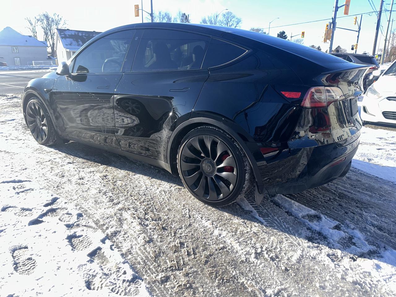 2023 Tesla Model Y PERFORMANCE Photo