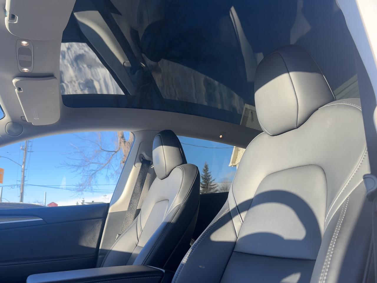 2023 Tesla Model Y PERFORMANCE Photo