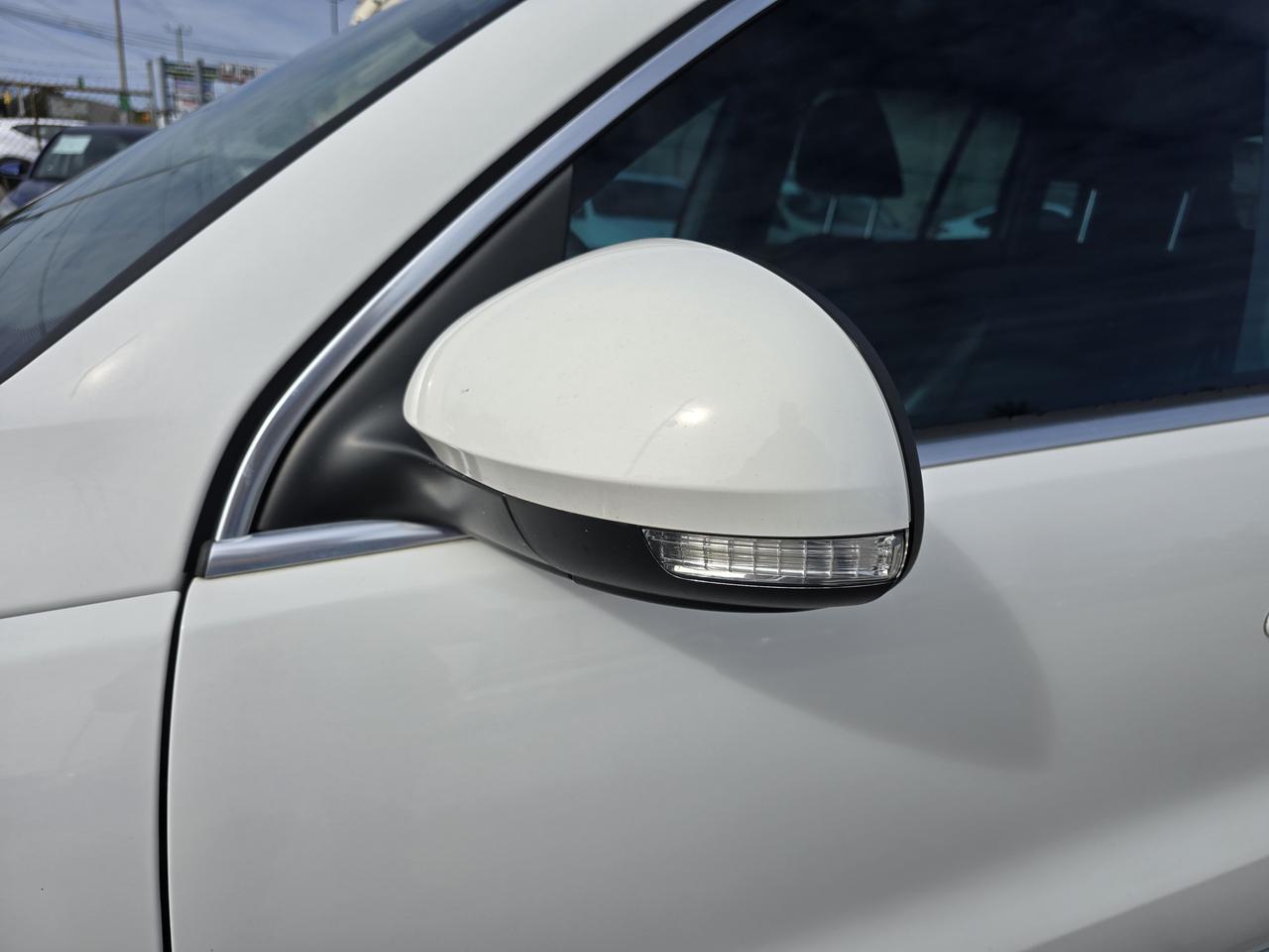 2014 Volkswagen Tiguan S Photo