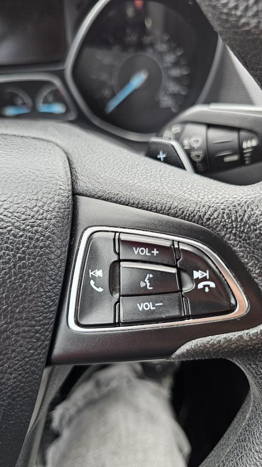 2017 Ford Escape SE Photo