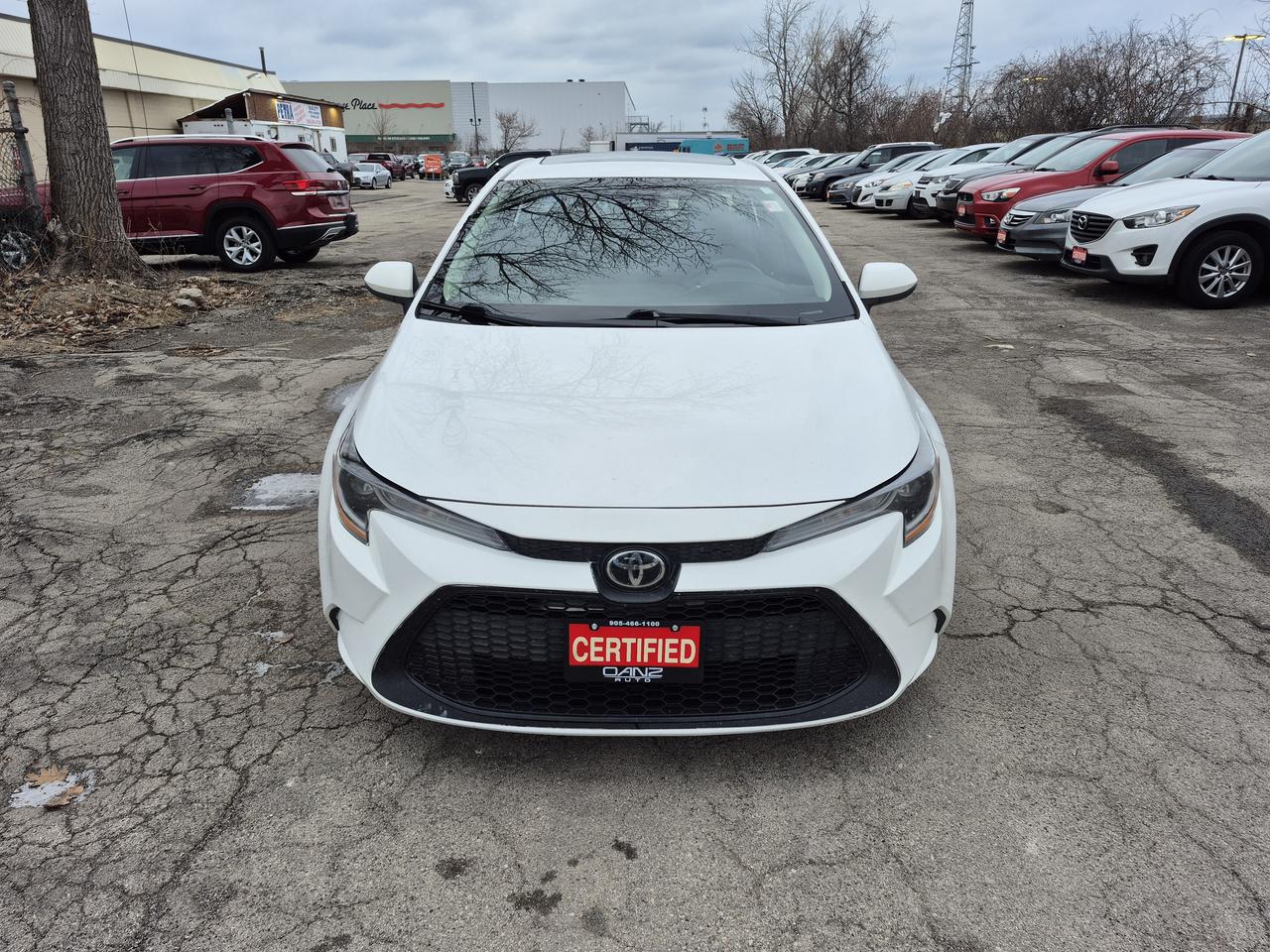 2022 Toyota Corolla LE Photo