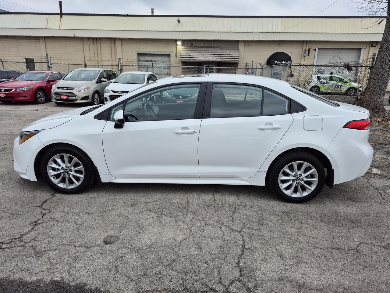 2022 Toyota Corolla LE Photo