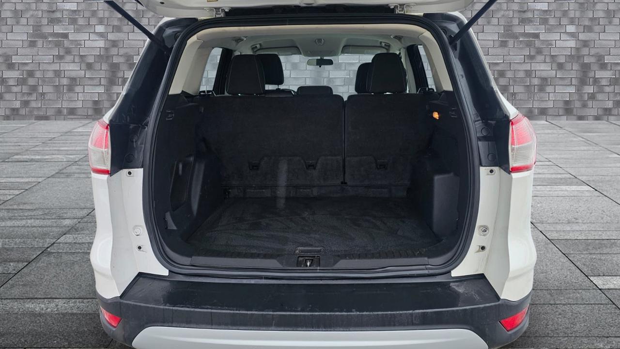 2014 Ford Escape SE Photo