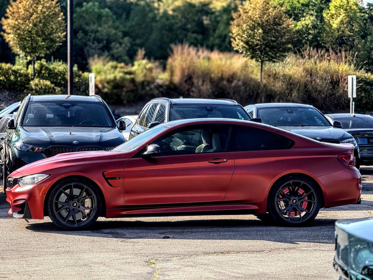 2015 BMW M4  Photo