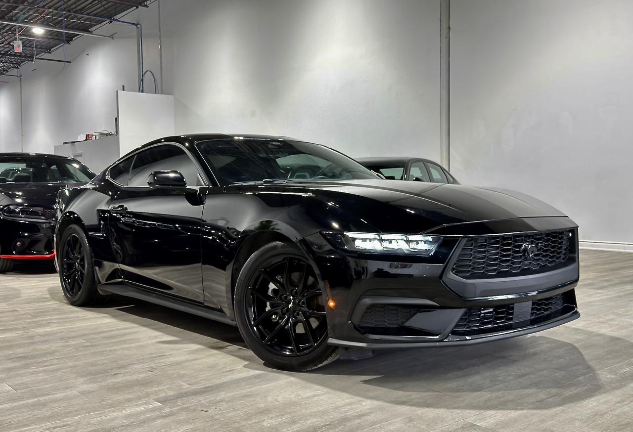 2024 Ford Mustang EB||Nite Pony Pkg||High Pkg||Ford Serviced|| Photo