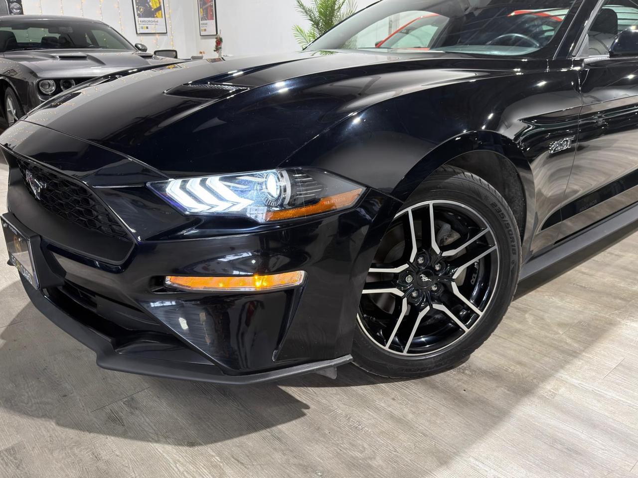 2019 Ford Mustang EB Fastback||Clean Carfax Photo