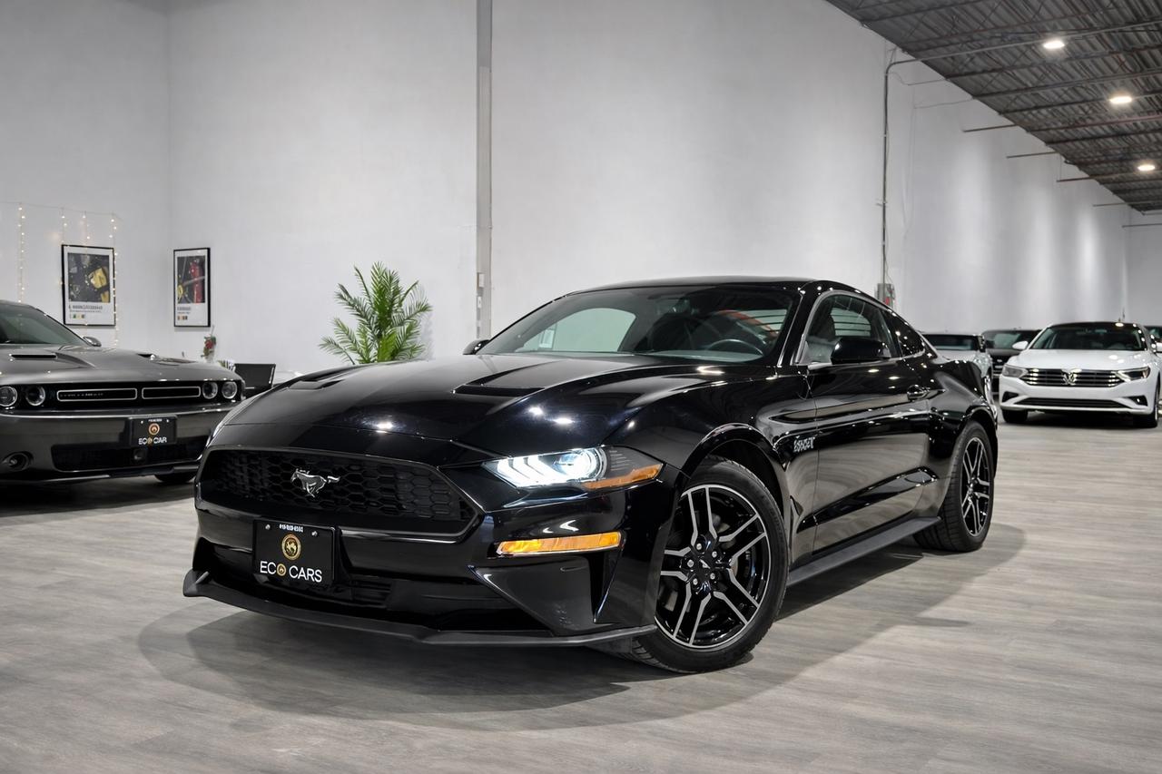 2019 Ford Mustang EB Fastback||Clean Carfax Photo0