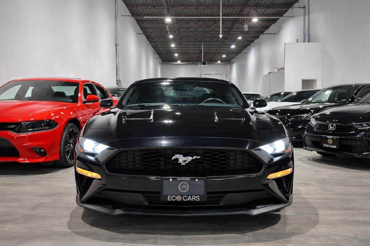 2019 Ford Mustang EB Fastback||Clean Carfax Photo