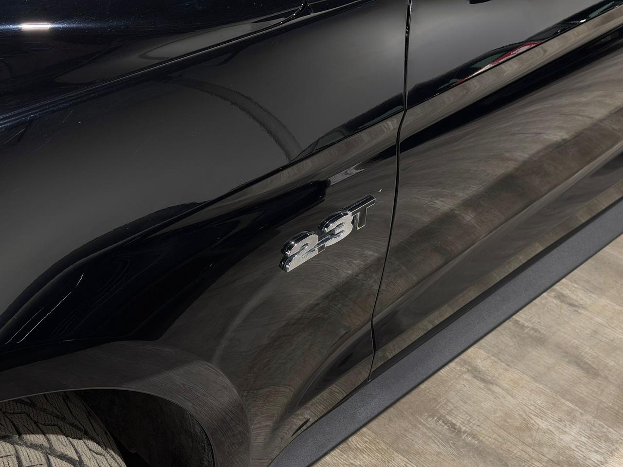 2019 Ford Mustang EB Fastback||Clean Carfax Photo