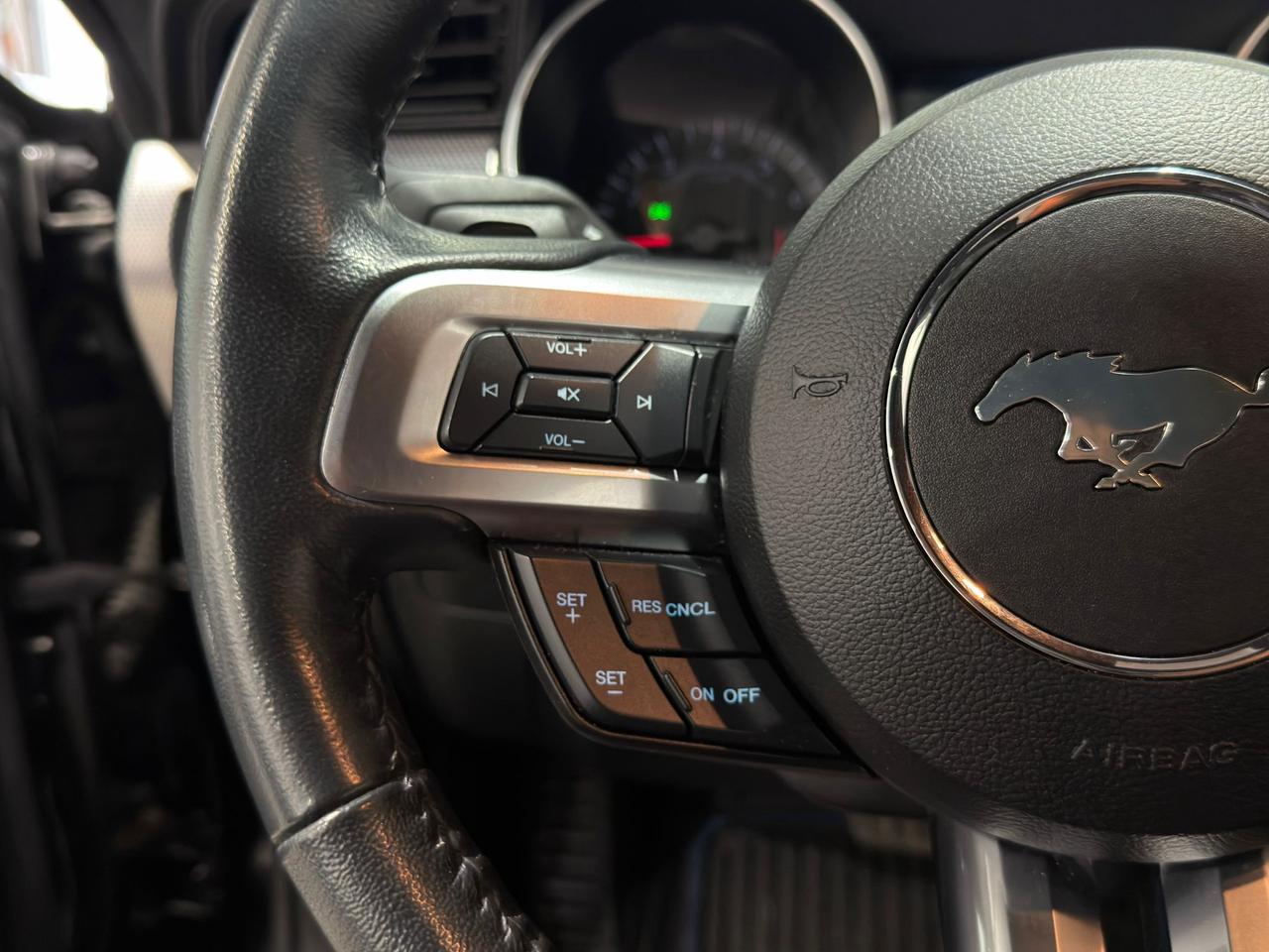 2019 Ford Mustang EB Fastback||Clean Carfax Photo