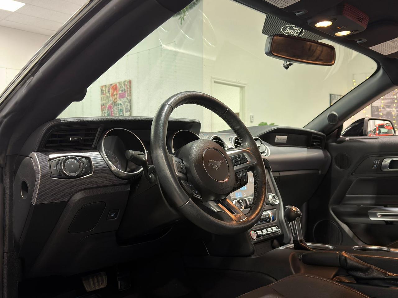 2019 Ford Mustang EB Fastback||Clean Carfax Photo