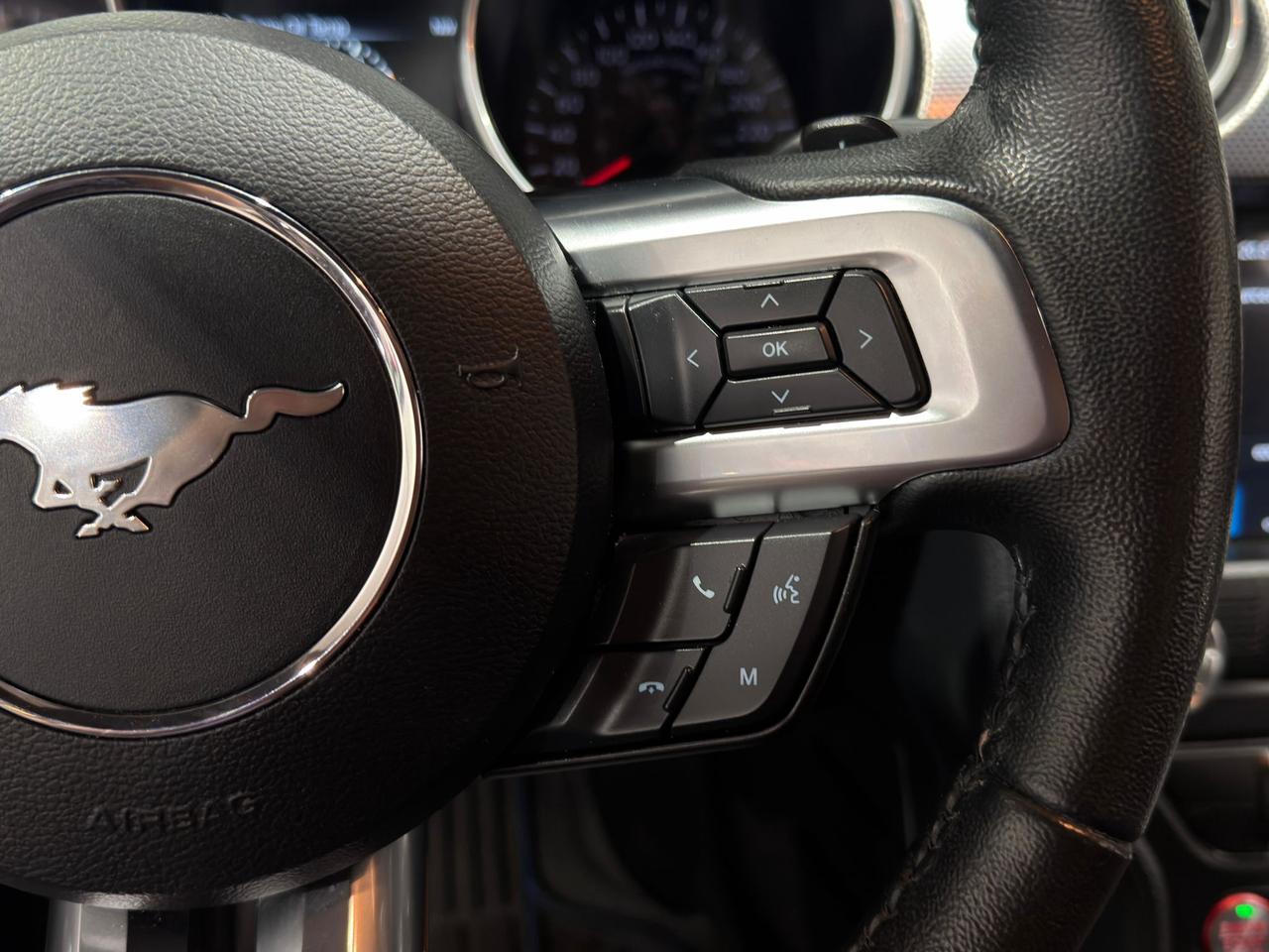 2019 Ford Mustang EB Fastback||Clean Carfax Photo