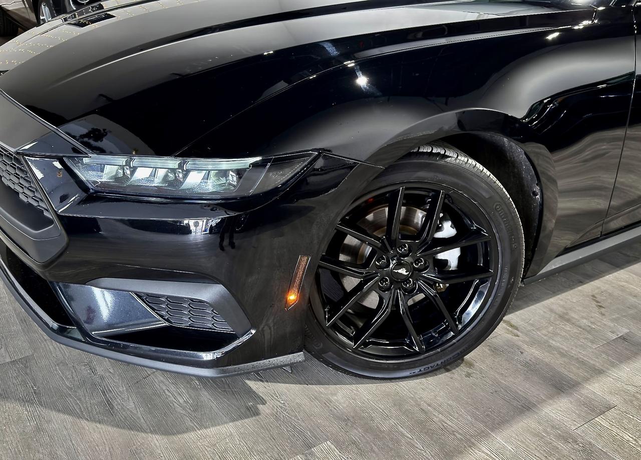 2024 Ford Mustang EB||Nite Pony Pkg||High Pkg||Ford Serviced Photo