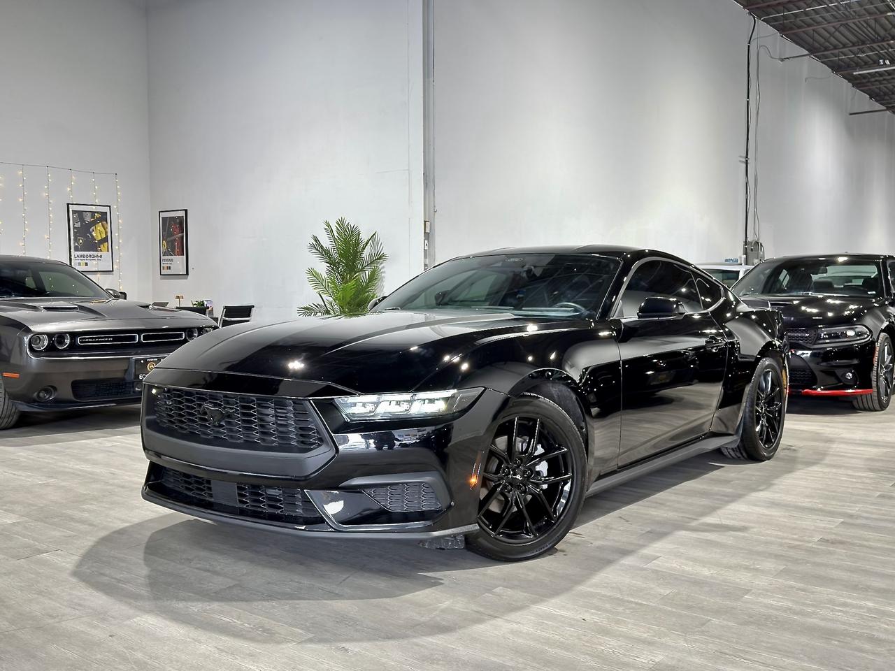 2024 Ford Mustang EB||Nite Pony Pkg||High Pkg||Ford Serviced Photo