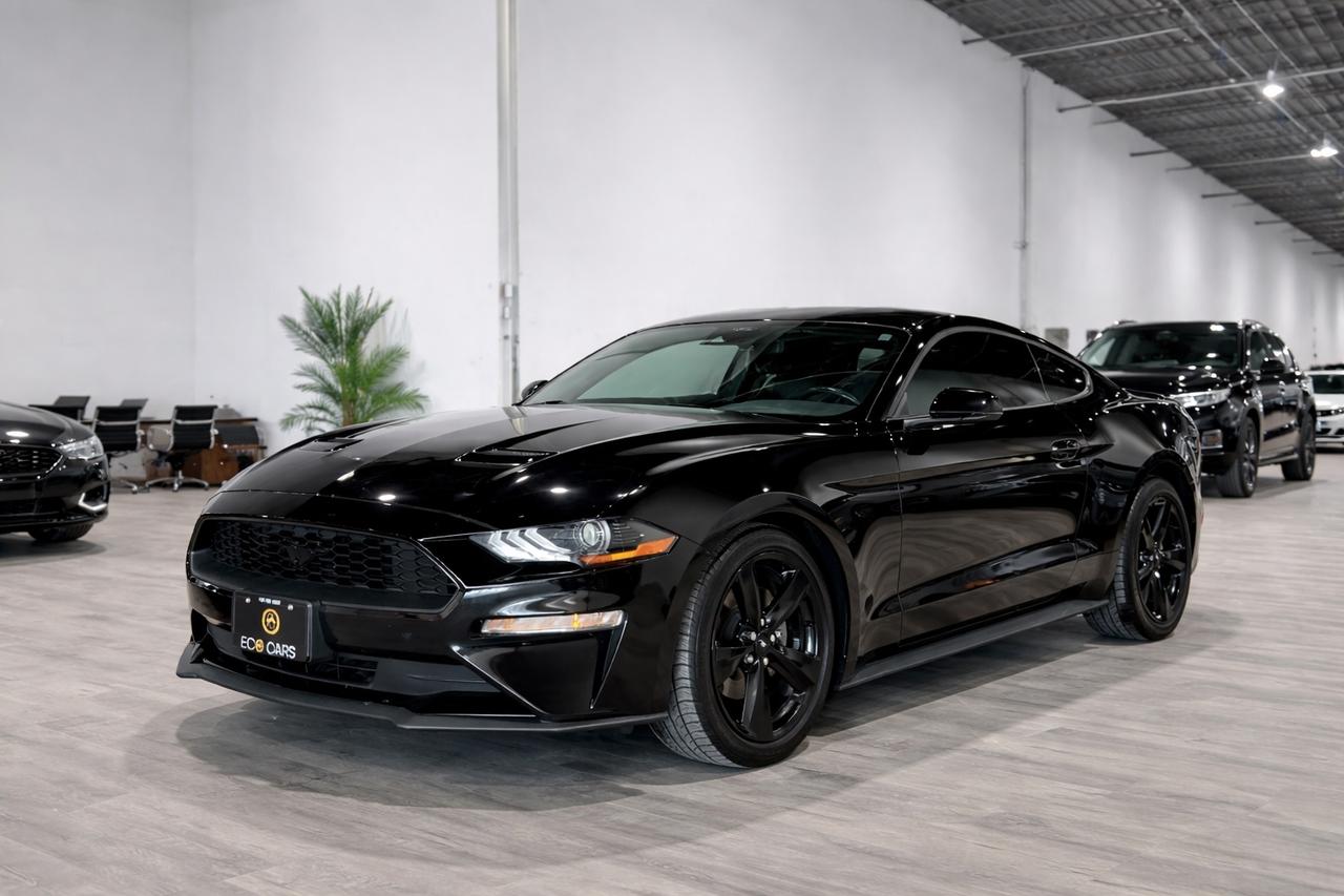 2022 Ford Mustang EB Fastback||One Owner||Clean Carfax Photo0