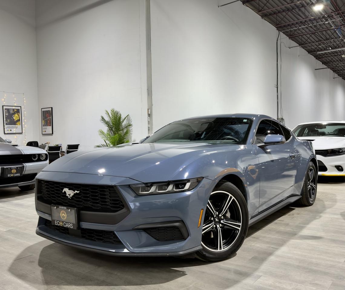 2024 Ford Mustang Ecoboost Fastback||Clean Carfax||Ford Service Hist Photo0