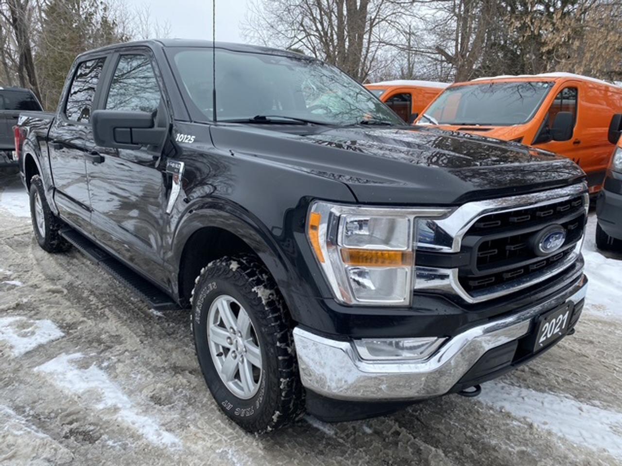 2021 Ford F-150 XLT CREW CAB SHORT B 4WD SUPERCREW Photo