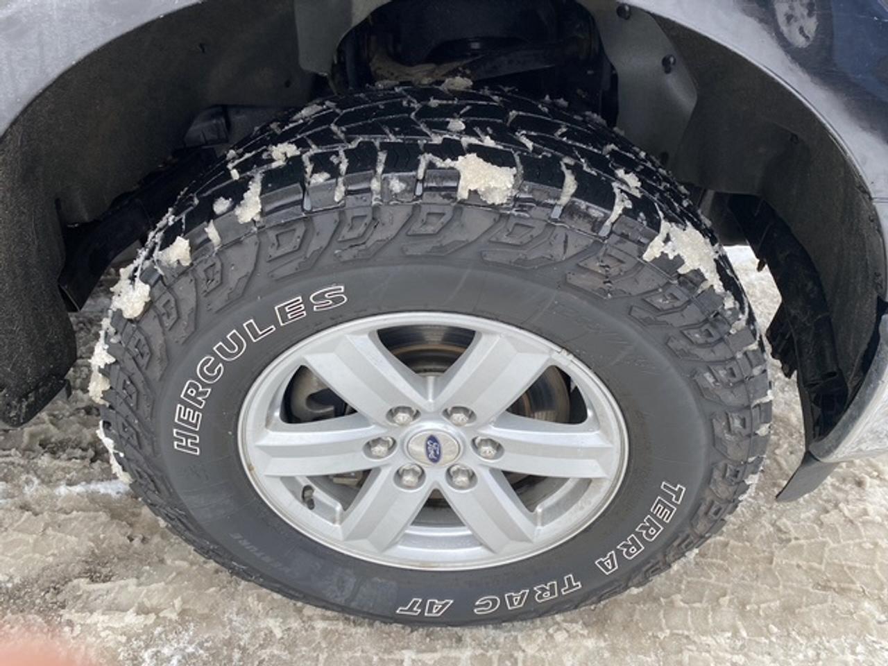 2021 Ford F-150 XLT CREW CAB SHORT B 4WD SUPERCREW Photo