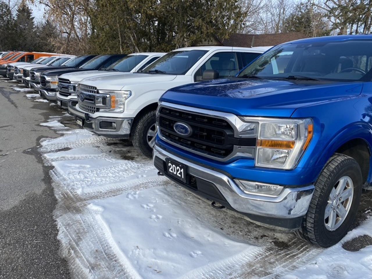 2021 Ford F-150 XLT CREW CAB SHORT B 4WD SUPERCREW Photo