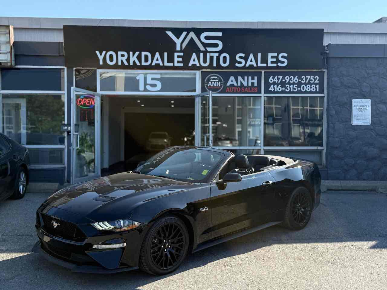 2019 Ford Mustang GT Photo