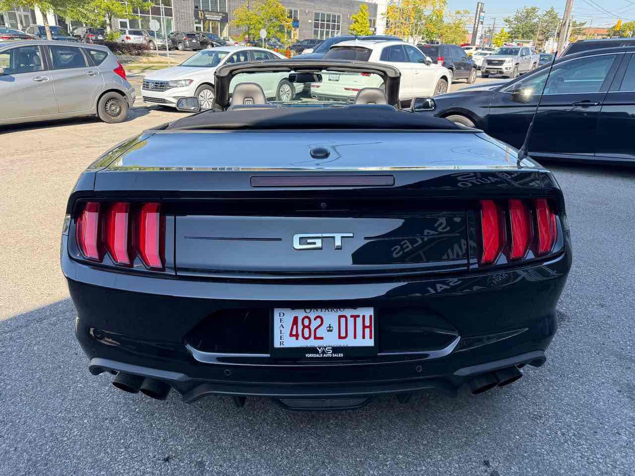 2019 Ford Mustang GT Photo