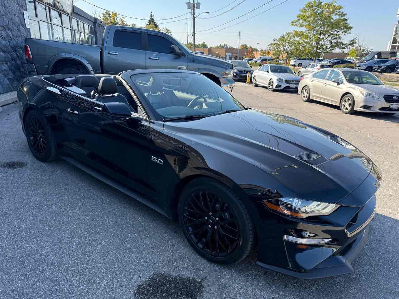 2019 Ford Mustang GT Photo