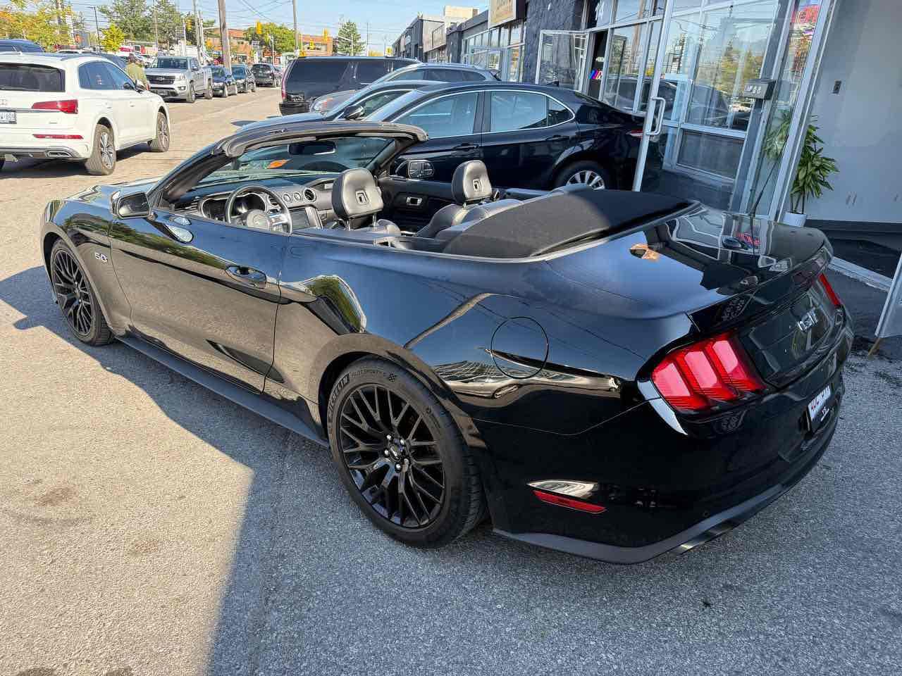 2019 Ford Mustang GT Photo
