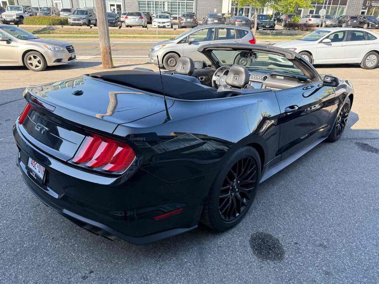 2019 Ford Mustang GT Photo