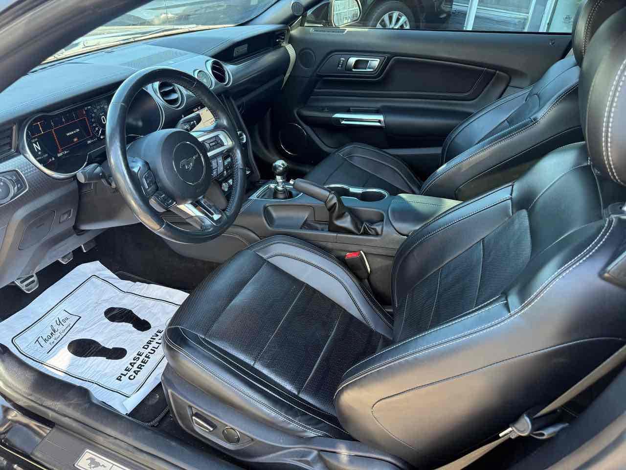 2019 Ford Mustang GT Photo